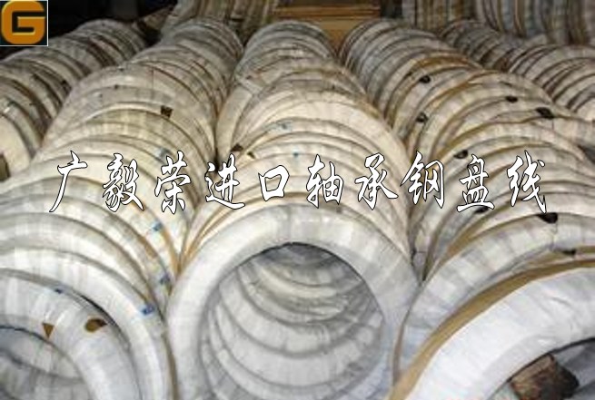 軸承鋼5